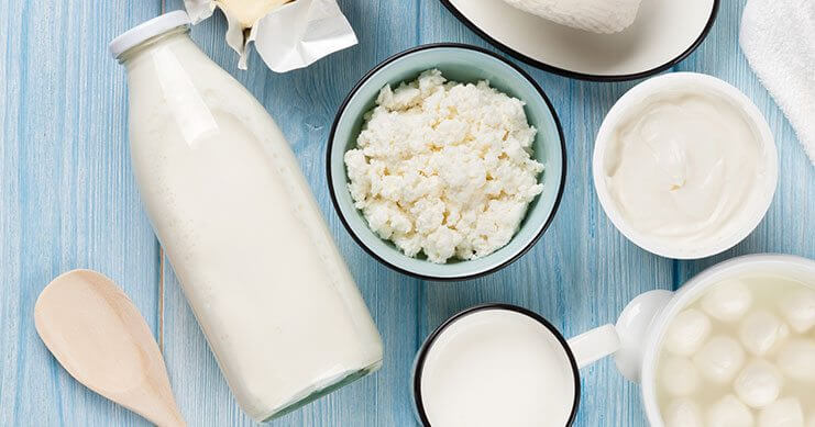 selection of milk products